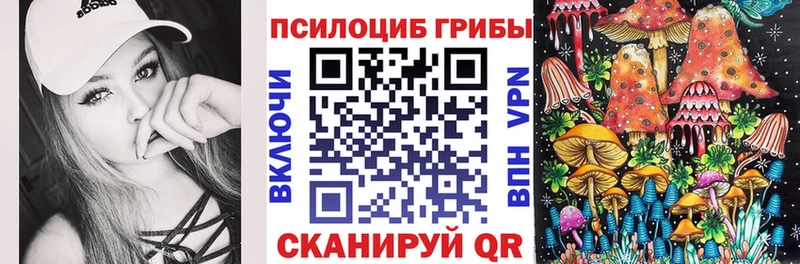 Псилоцибиновые грибы мицелий  Голицыно 